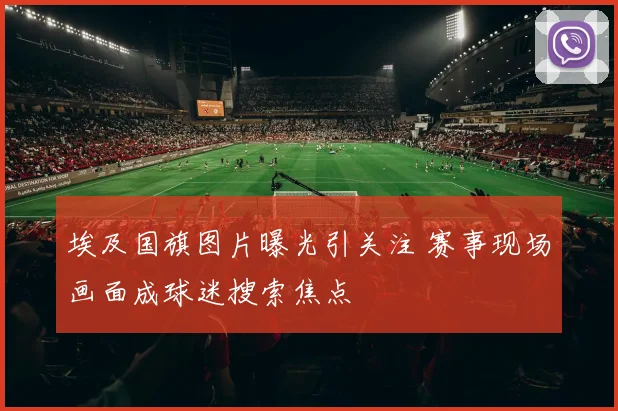 埃及国旗图片曝光引关注 赛事现场画面成球迷搜索焦点