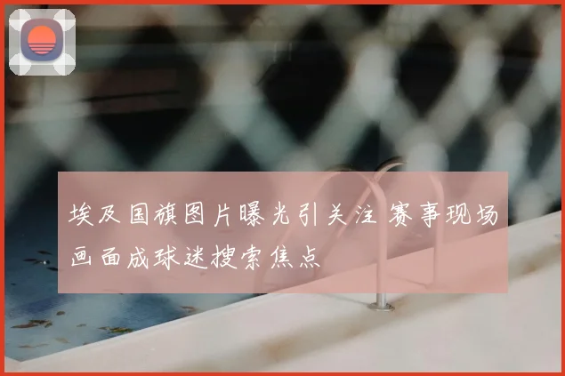 埃及国旗图片曝光引关注 赛事现场画面成球迷搜索焦点